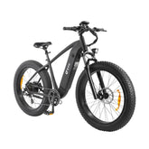 DYU King750 26" Electric Bike - 750W Motor 48V20Ah Battery 80KM Range Disc Brakes - Black